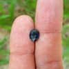 blue-sapphire-pailin-2.11-cta-100x100