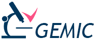 new-gemic-logo