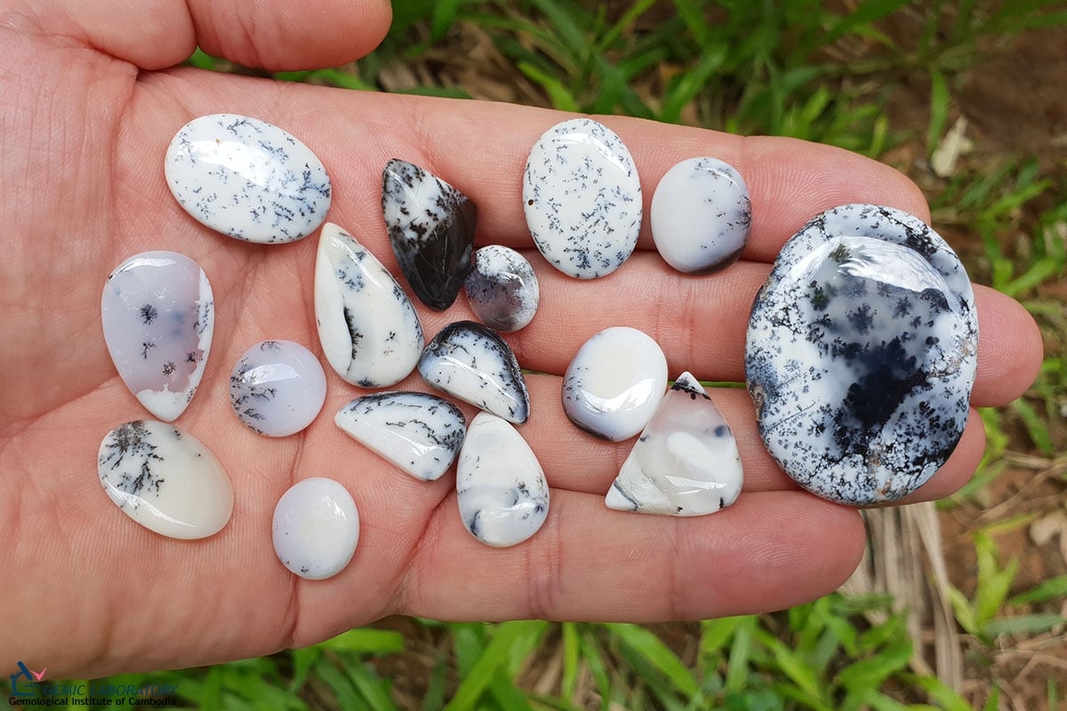 Dendritic agate