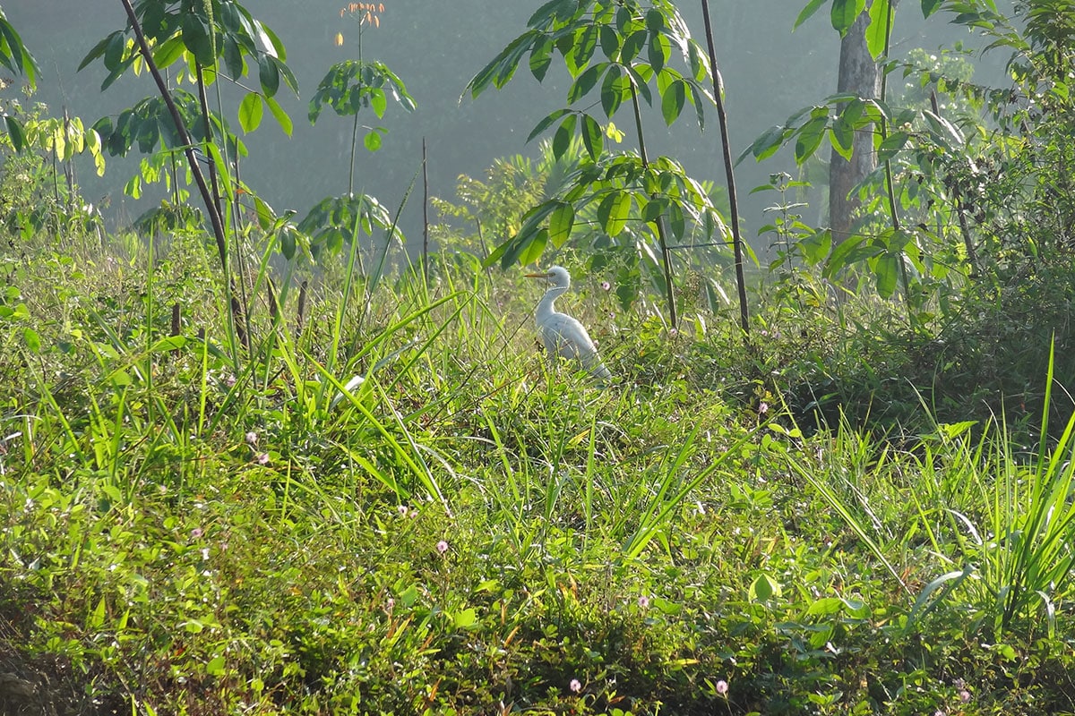 Sri-lanka-14