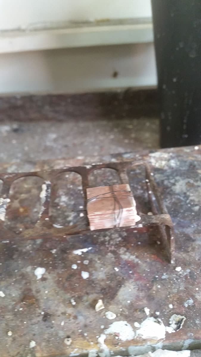 杢目金(モクメガネ)
