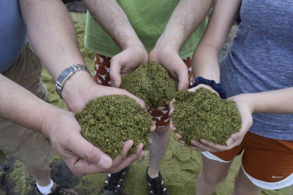 Olivine sand from the Papakolea Beach on Hawaii