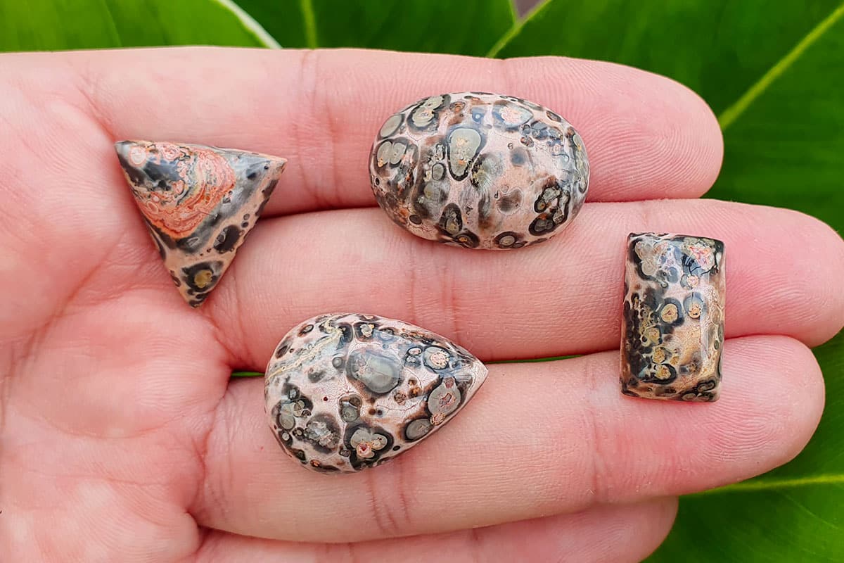 Leopard skin jasper - New update 2023 - Great video