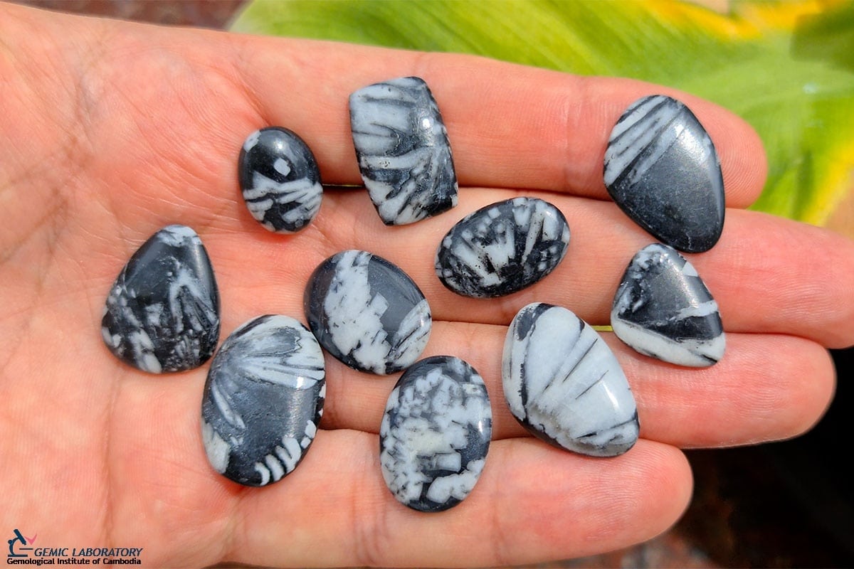 Chrysanthemum stone jasper crystals meaning properties