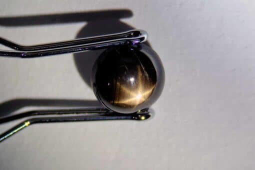 Black Star Sapphire 1.58 ct